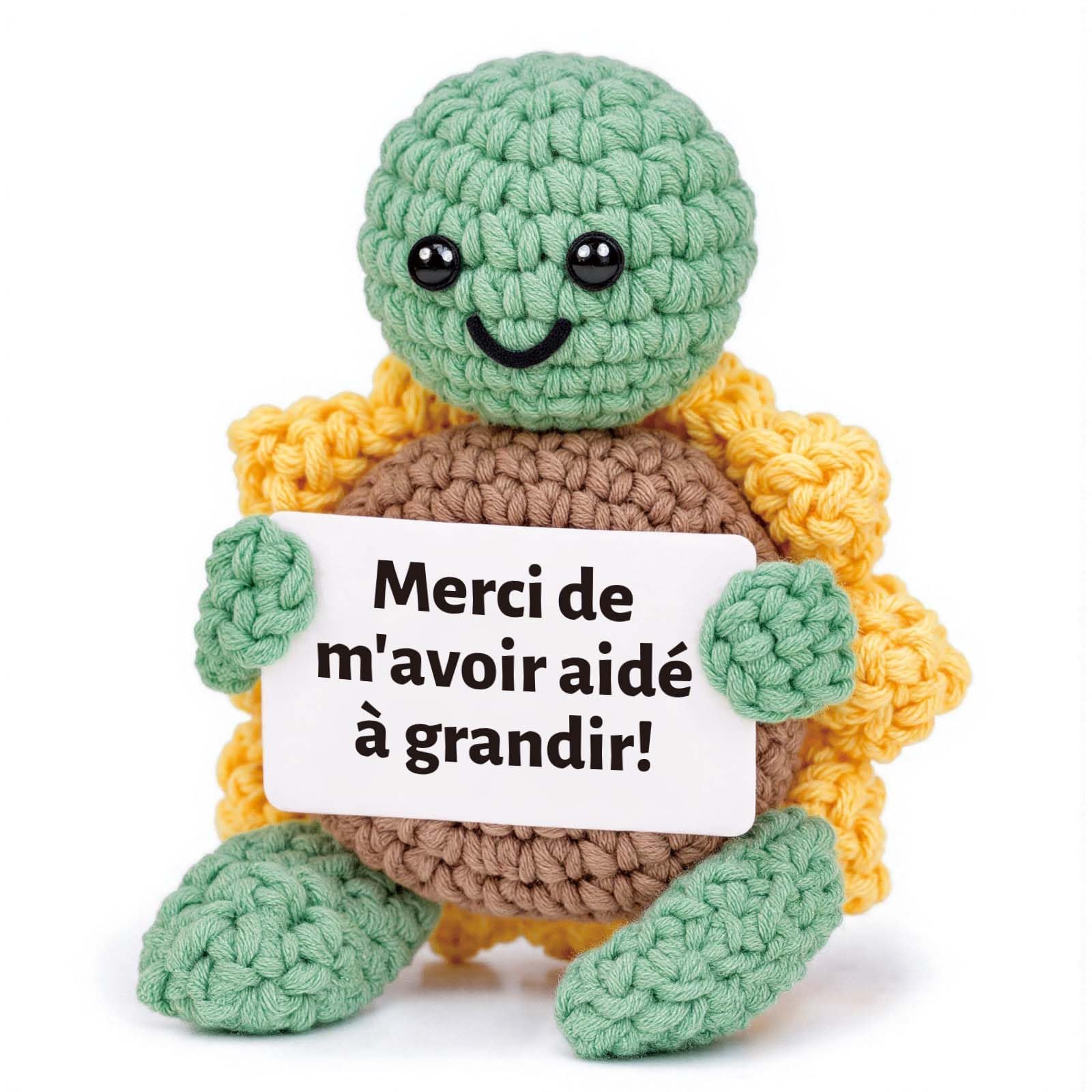 Tortue en crochet main « Merci de m'avoir aidé à grandir » — idée cadeau