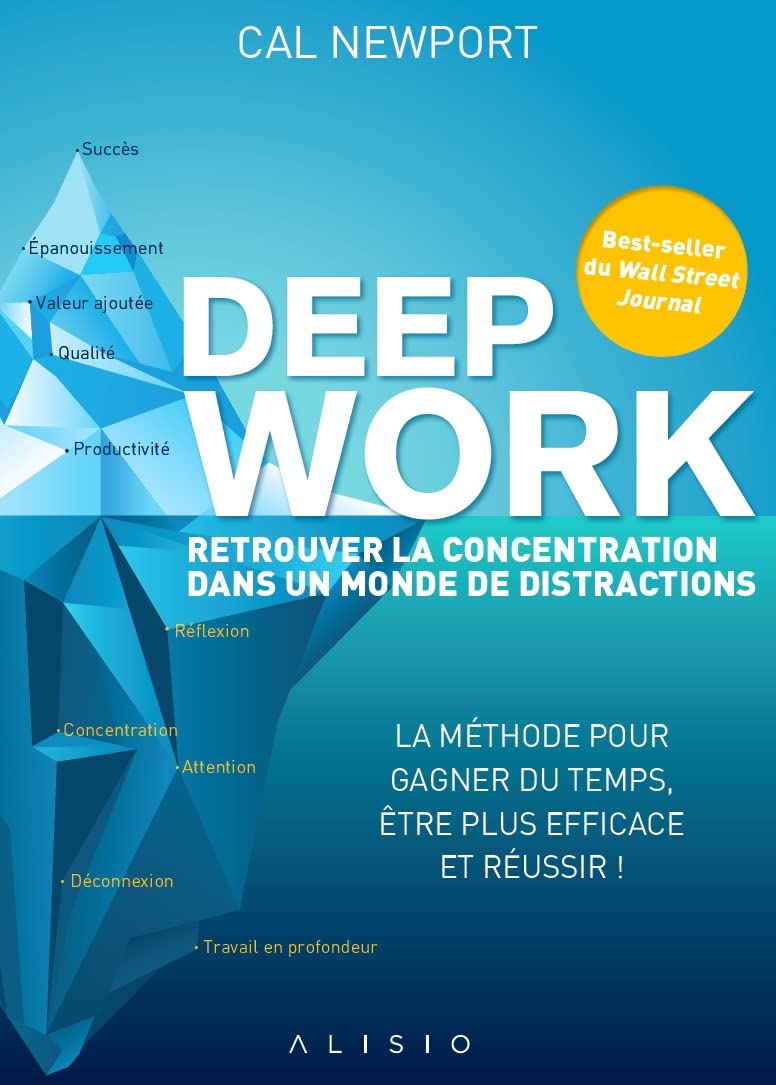 Deep Work, Cal Newport (Alisio), retrouver la concentration — cadeau drôle et insolite