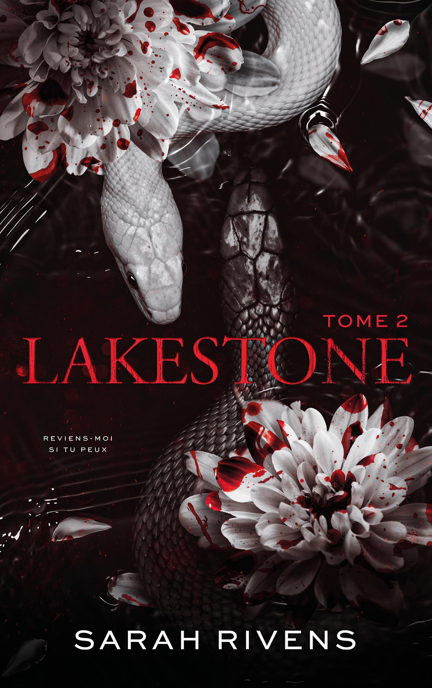 Lakestone, tome 2 (Hachette) — idée cadeau