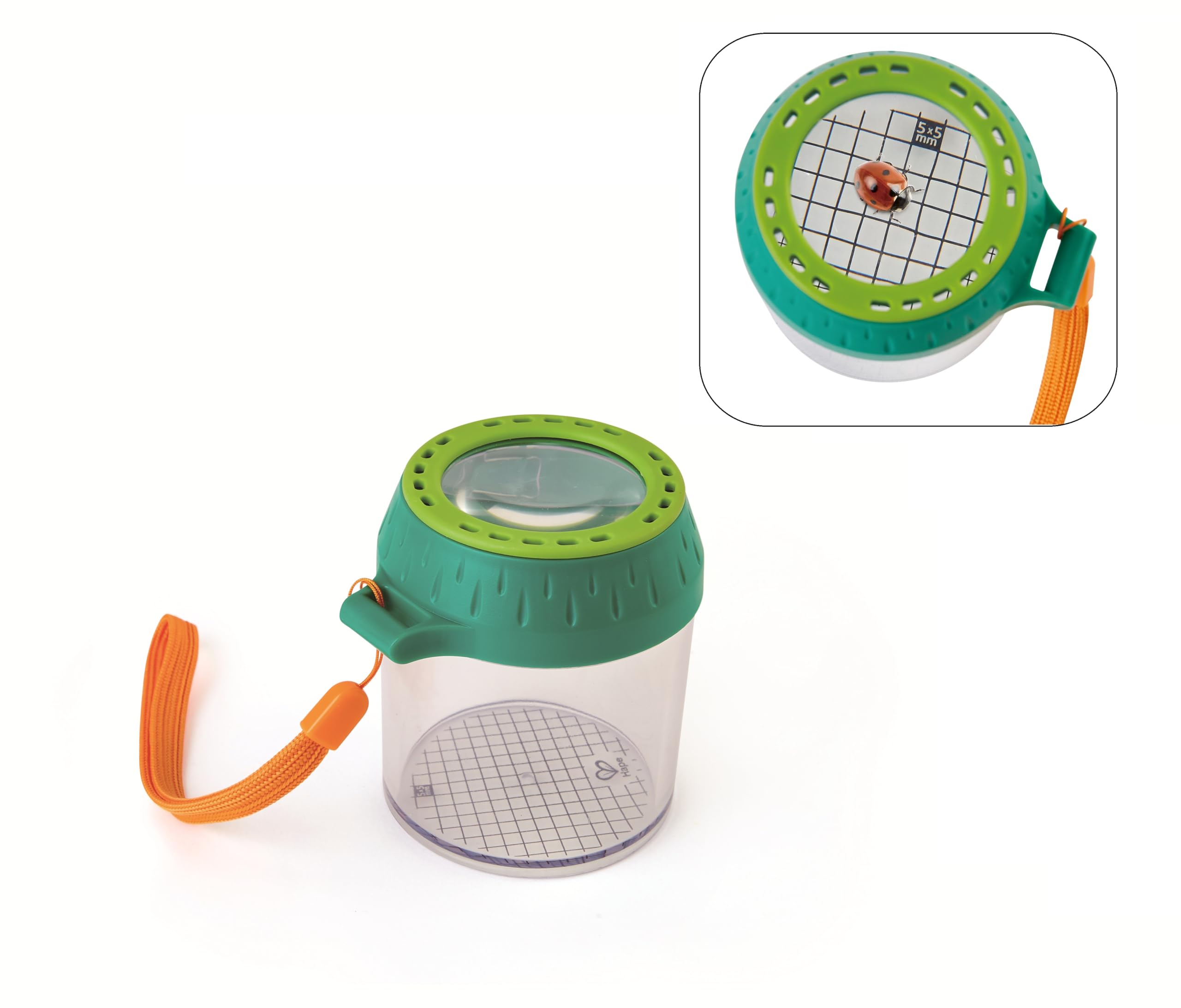 Hape Boîte à insectes avec loupe x4 — cadeau drôle et insolite