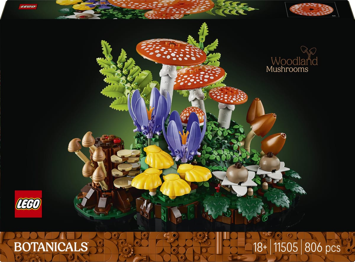 LEGO Botanicals Les Champignons des Bois 11505 — idée cadeau