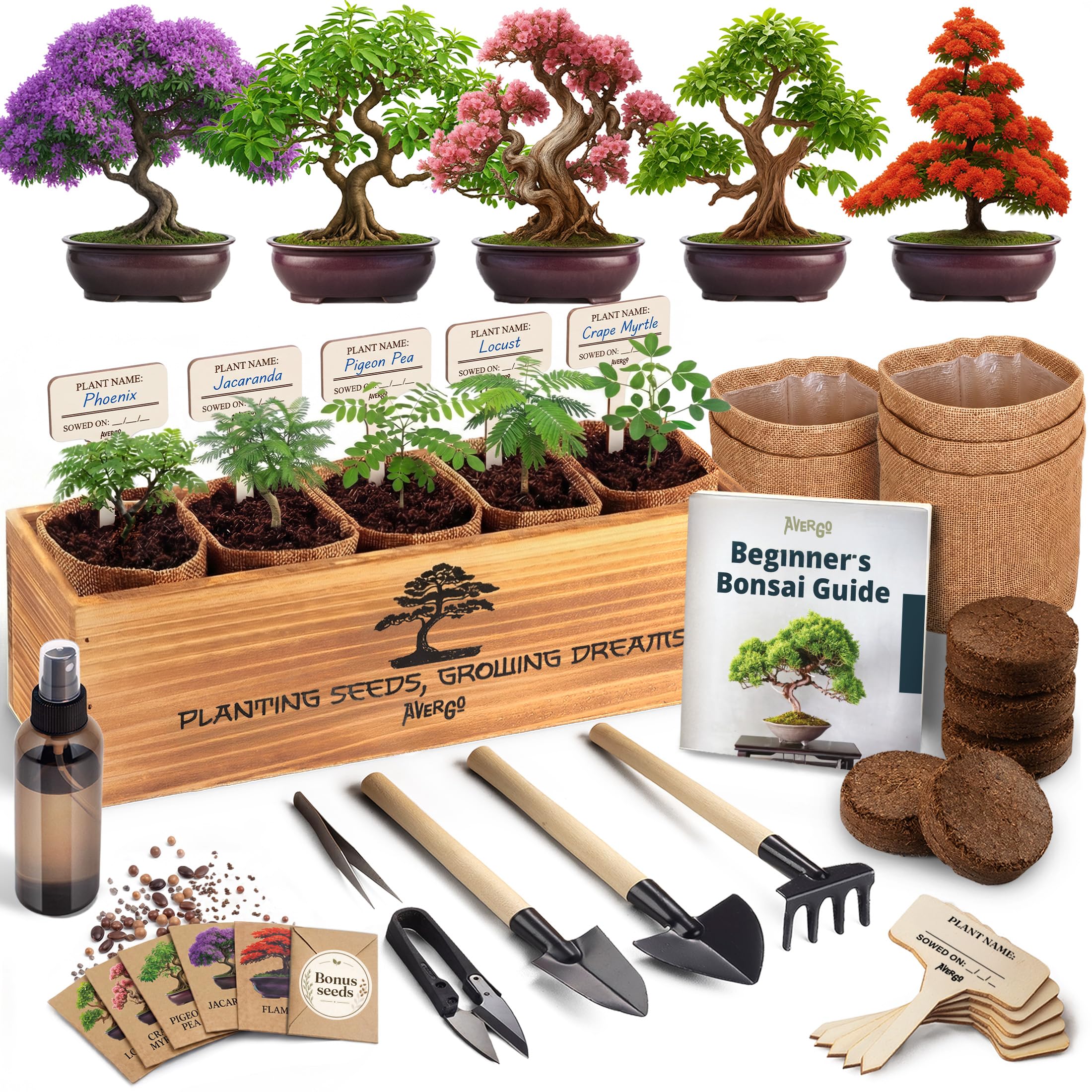 AVERGO Bonsai Tree Starter Kit Deluxe, 5 Trees — gift idea