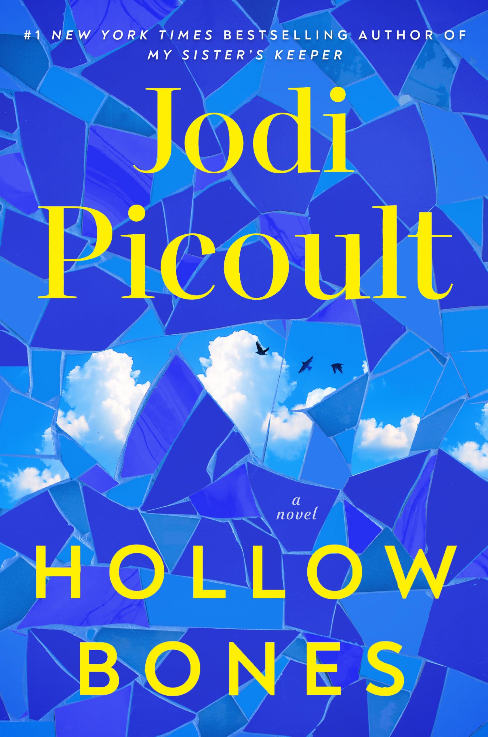 Hollow Bones: A Novel — gift idea