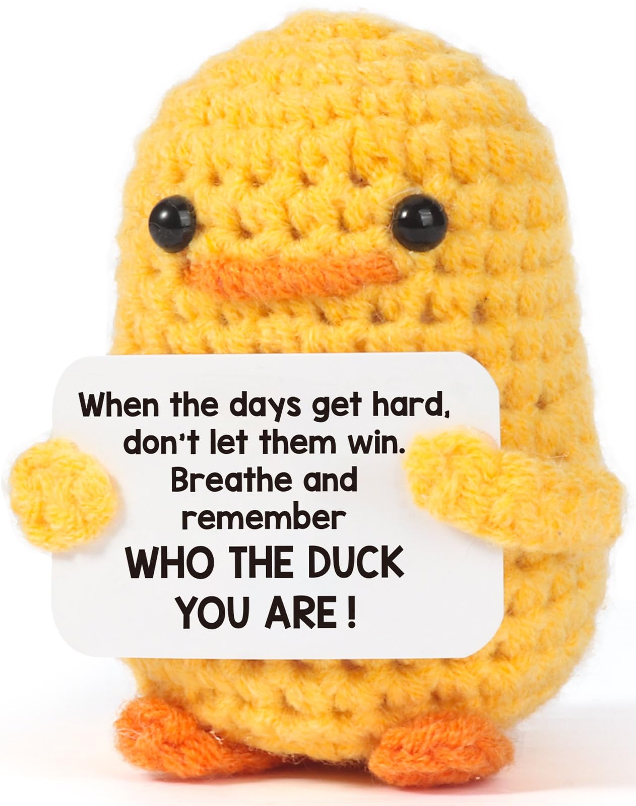 Birthday Inspirational Plush Gift — original gift idea