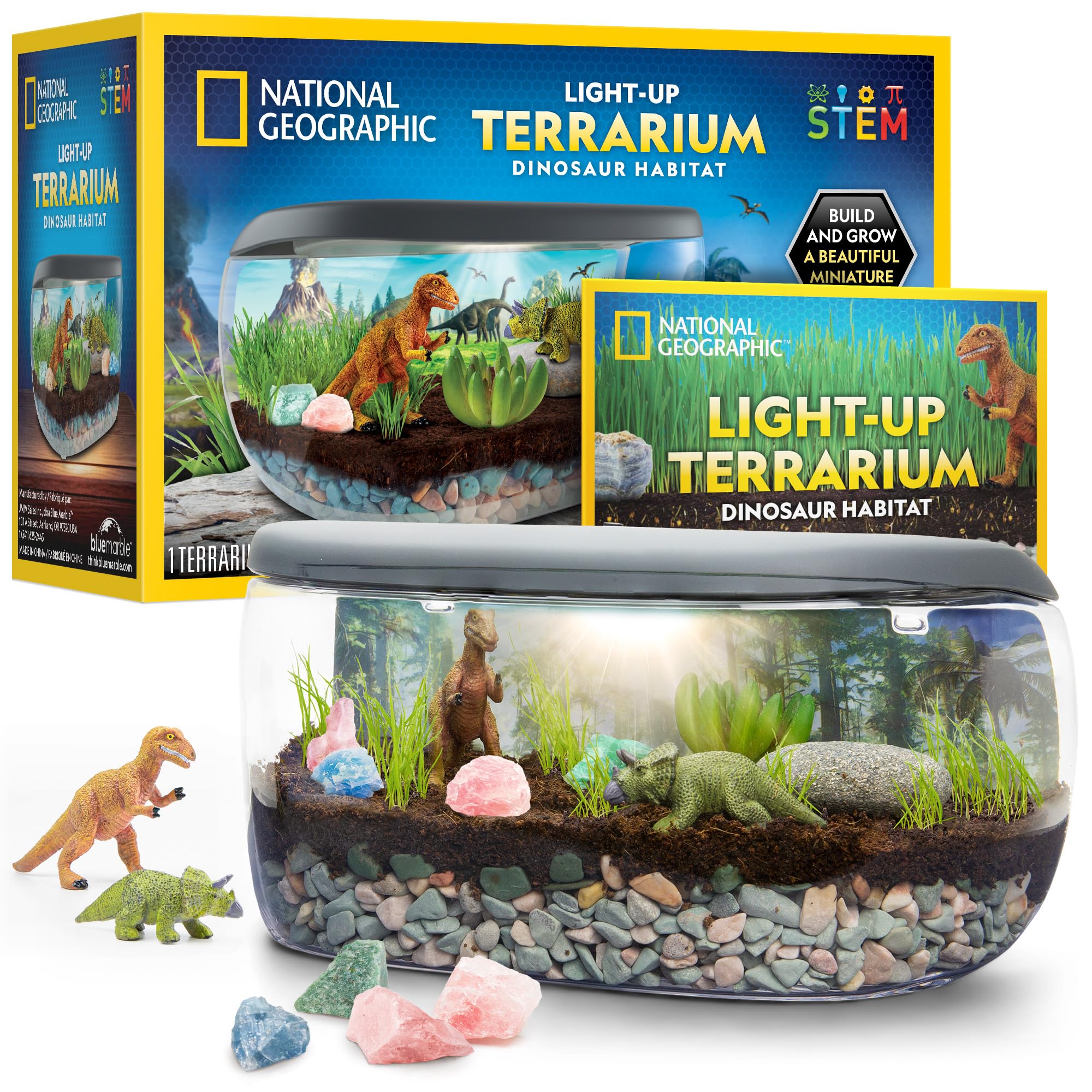 National Geographic Light-Up Dinosaur Terrarium Kit — gift idea