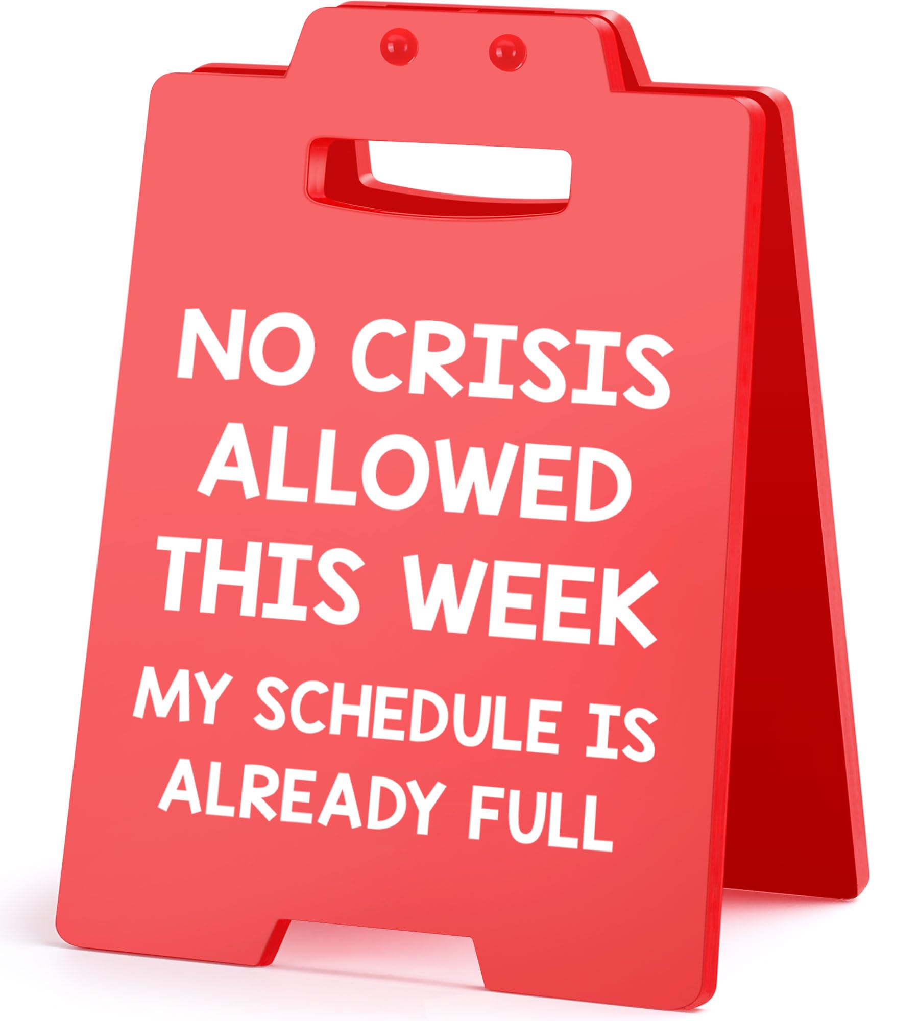 Funny Boss Desk Sign — original gift idea