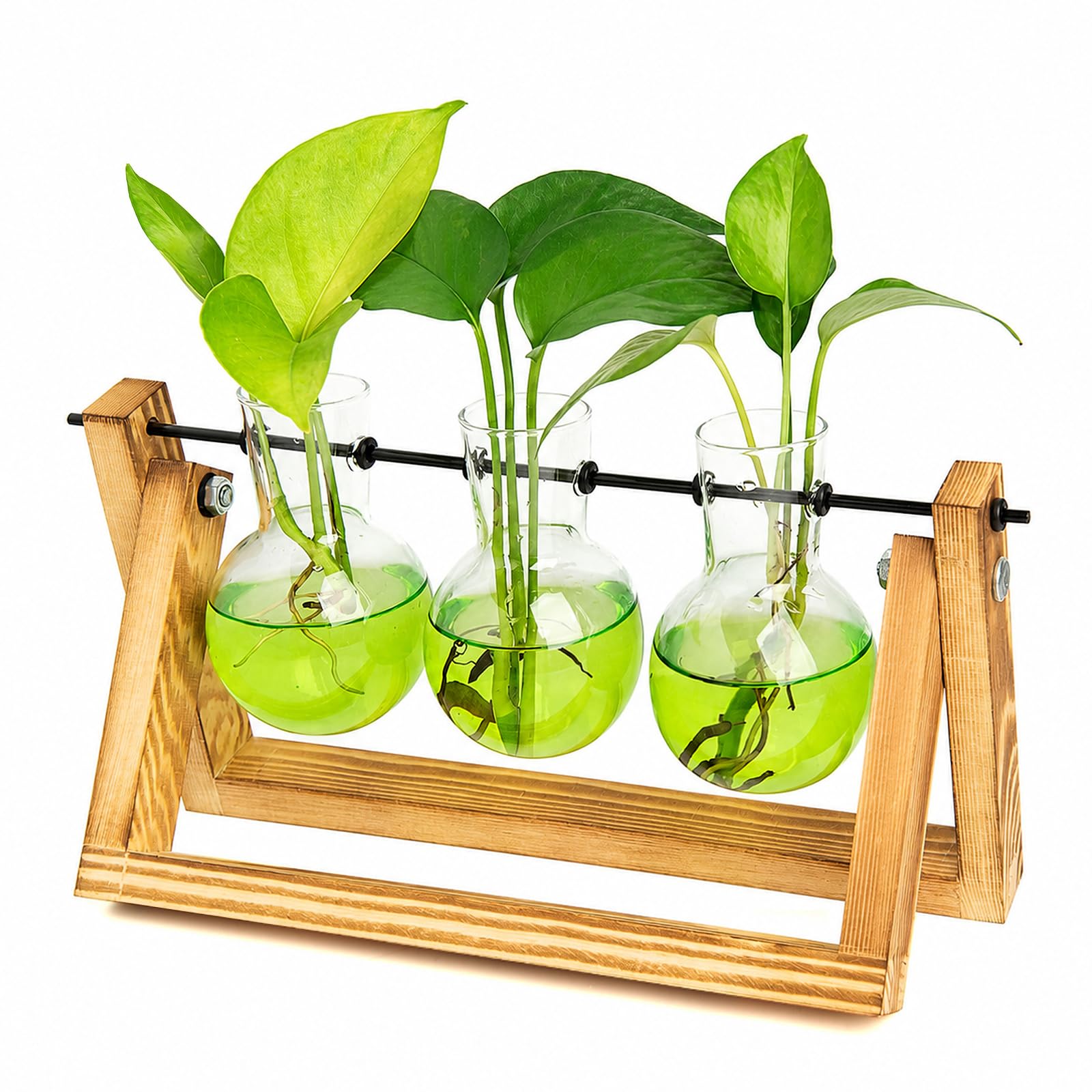 XXXFLOWER Propagation Station with 3 Glass Bulb Vases — gift idea