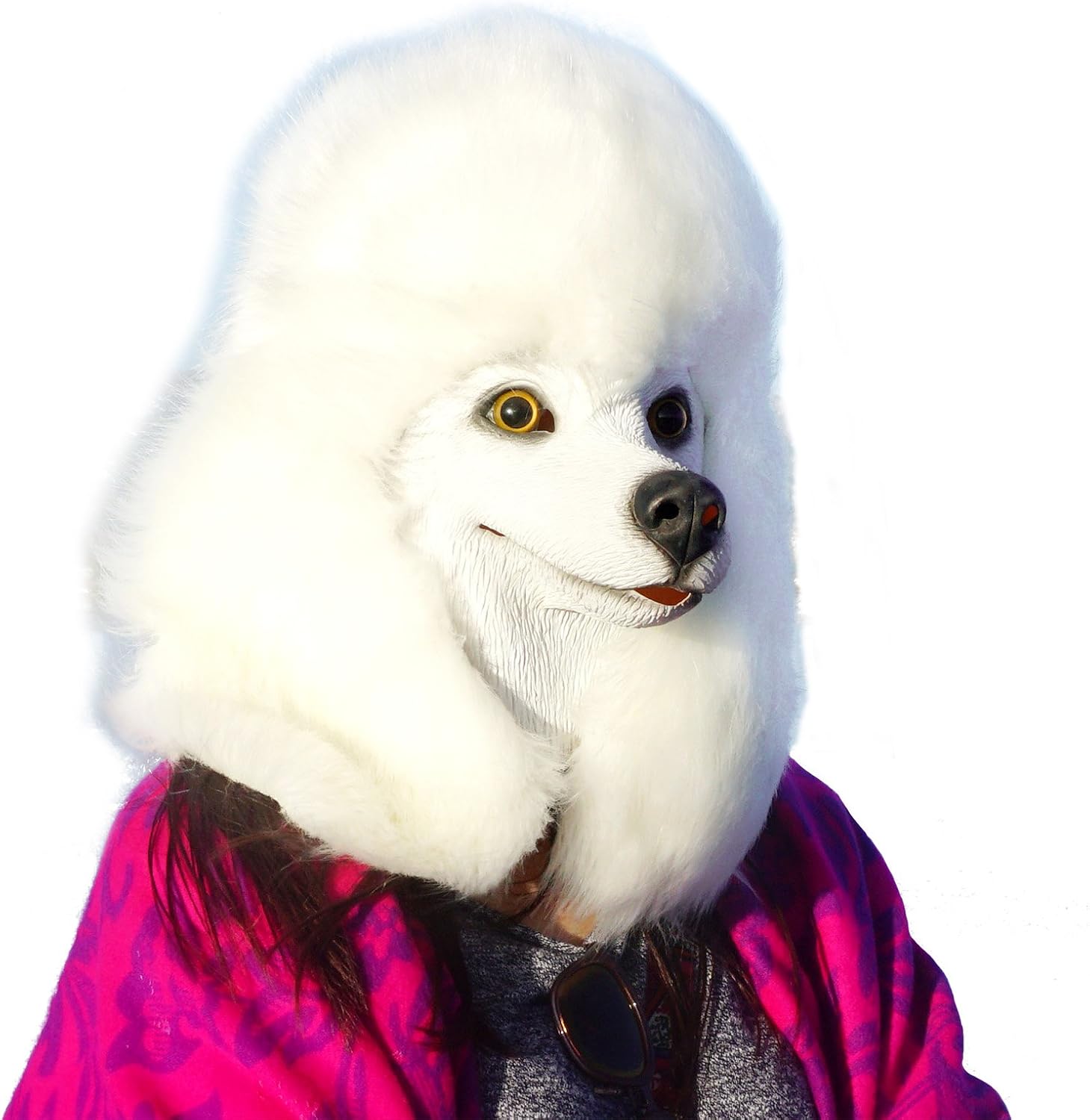 Le masque latex caniche blanc — idée cadeau original