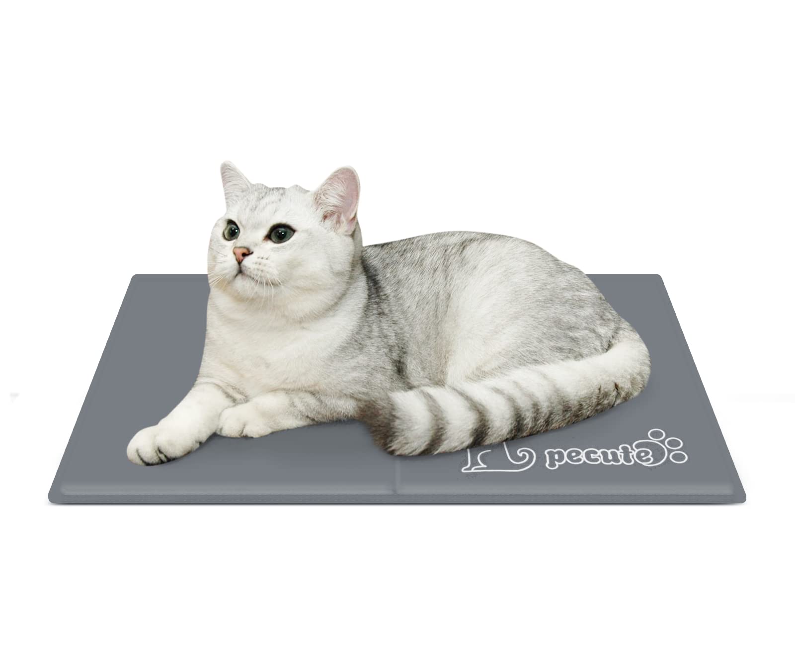 Tapis Rafraîchissant Pecute — idée cadeau original