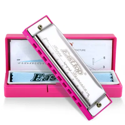 East Top, harmonica diatonique 10 trous en do avec étui — idée cadeau