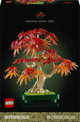LEGO Botanicals Bonsaï d'érable rouge du Japon 10348 — idée cadeau