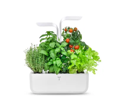 Véritable, potager d'intérieur Classic (blanc), conçu en France — idée cadeau