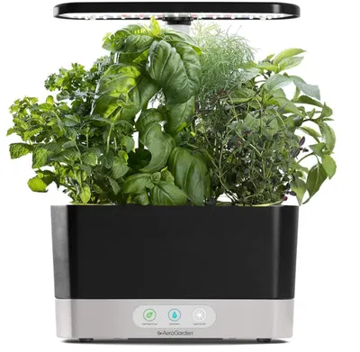 AeroGarden Harvest Indoor Hydroponic Garden — gift idea